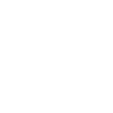 Icon E-Bike